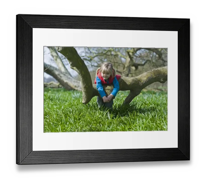 Framed Print : Young girl playing in woods Norfolk in early spring Framed Print : Young girl playing in woods Norfolk in early spring