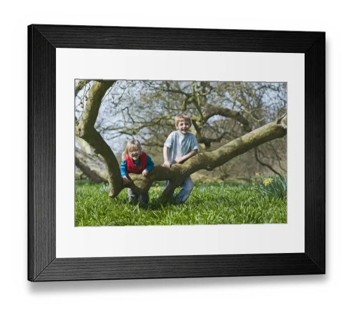 Framed Print : Children playing among daffodils in spring Norfolk UK Framed Print : Children playing among daffodils in spring Norfolk UK
