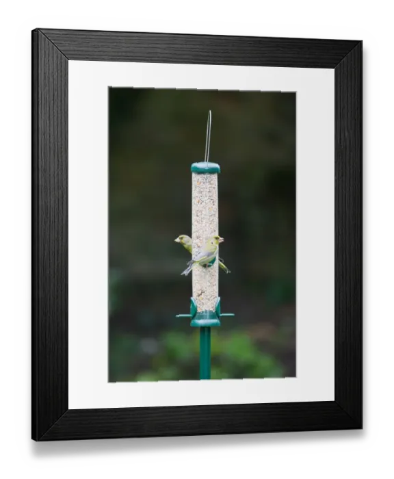 Framed Print : 006460 Framed Print : 006460