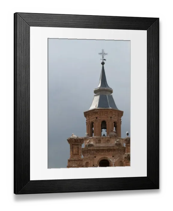 Framed Print : Alfaro Cathedral with White Stork colony Alfaro Spain Framed Print : Alfaro Cathedral with White Stork colony Alfaro Spain