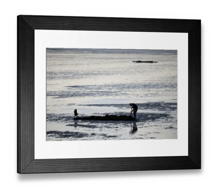 Framed Print : Bait digging on mudflats of The Wash off Snettisham Norfolk winter Framed Print : Bait digging on mudflats of The Wash off Snettisham Norfolk winter