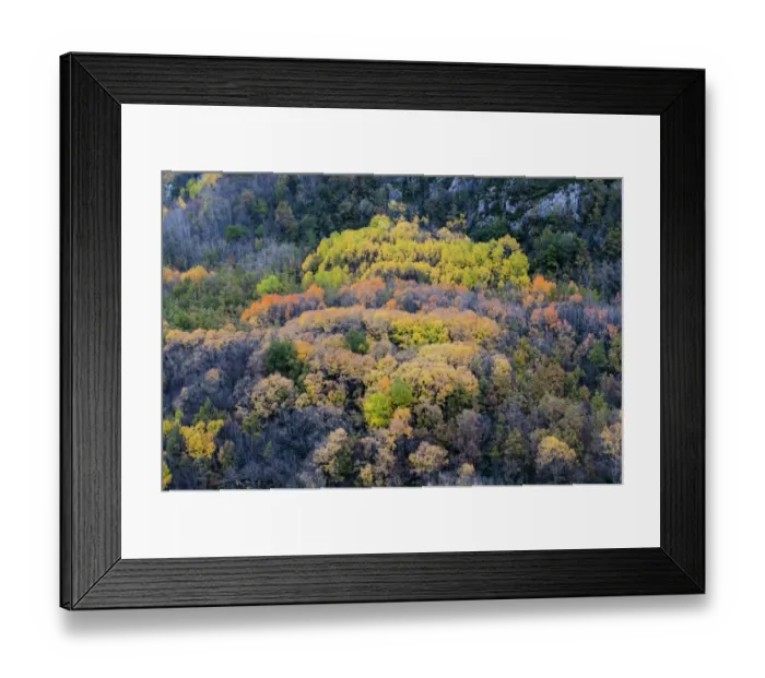 Framed Print : Autumn colour in Spanish Pyrenees near Tremp autumn Spain Framed Print : Autumn colour in Spanish Pyrenees near Tremp autumn Spain