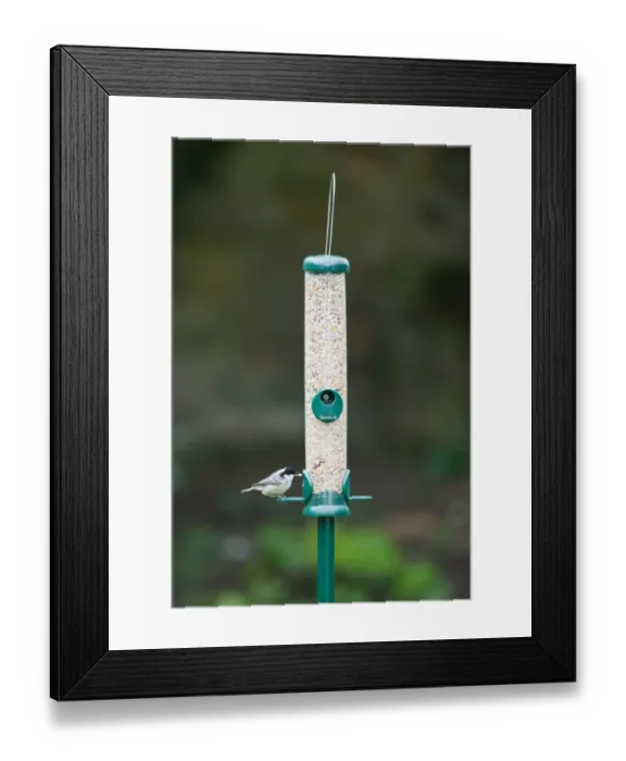 Framed Print : 006462 Framed Print : 006462