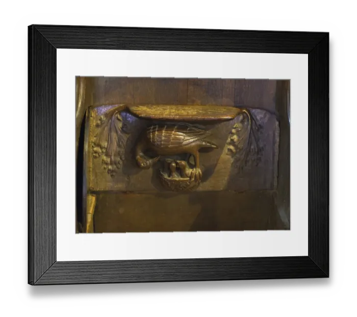 Framed Print : A Pelican in her piety decorating a Misericord in Lavenham Church Suffolk Framed Print : A Pelican in her piety decorating a Misericord in Lavenham Church Suffolk