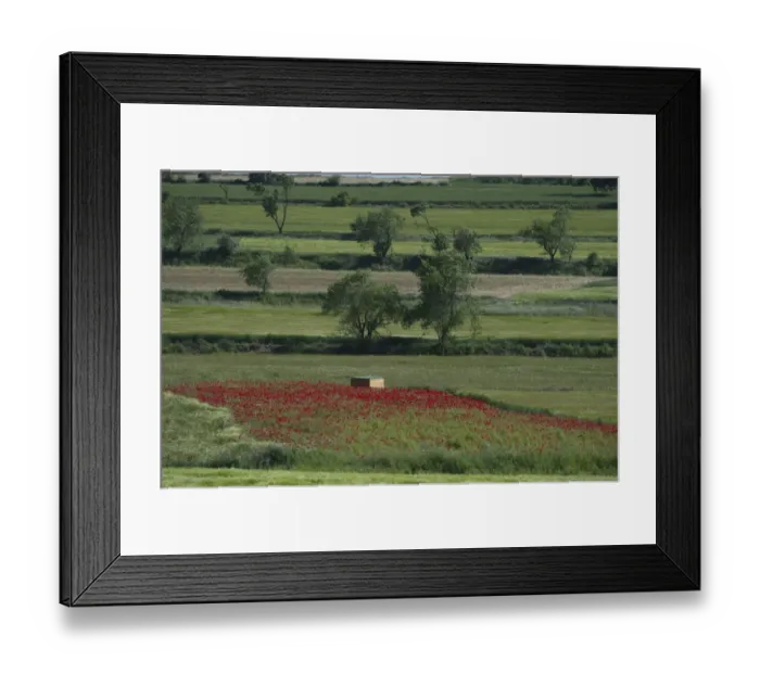Framed Print : Little Bustard hide on Spanish Steppes near Lleida Spain May Framed Print : Little Bustard hide on Spanish Steppes near Lleida Spain May
