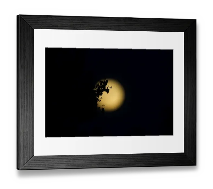 Framed Print : Full Moon viewed from Kelling Heath Norfolk summer Framed Print : Full Moon viewed from Kelling Heath Norfolk summer