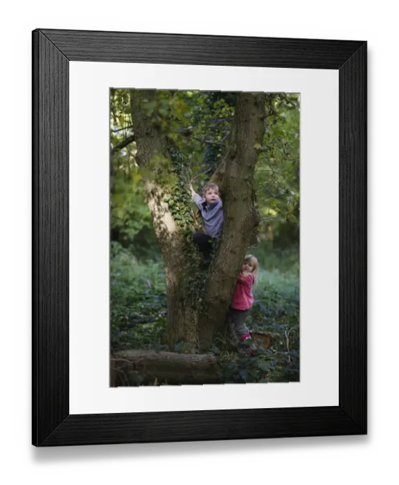 Framed Print : Young children playing in woodland in autumn Norfolk November Framed Print : Young children playing in woodland in autumn Norfolk November