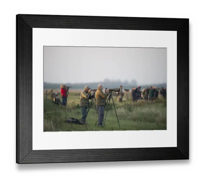 Framed Print : Photographers at Anettisham RSPB Reserve on The Wash Norfolk winter Framed Print : Photographers at Anettisham RSPB Reserve on The Wash Norfolk winter