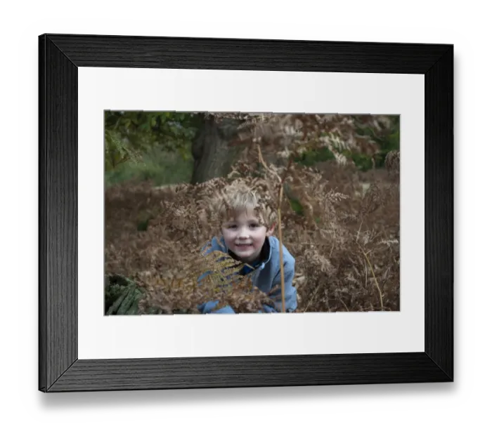 Framed Print : Young boy playing in woodland Kent autumn Framed Print : Young boy playing in woodland Kent autumn