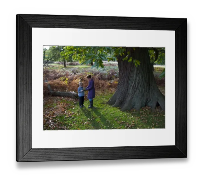 Framed Print : Mother and son in woodland in autumn Kent UK Framed Print : Mother and son in woodland in autumn Kent UK