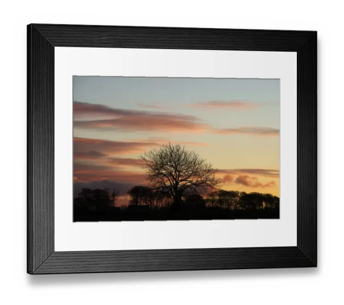 Framed Print : Silhoutted tree at sunset Burnham Norton Norfolk winter Framed Print : Silhoutted tree at sunset Burnham Norton Norfolk winter