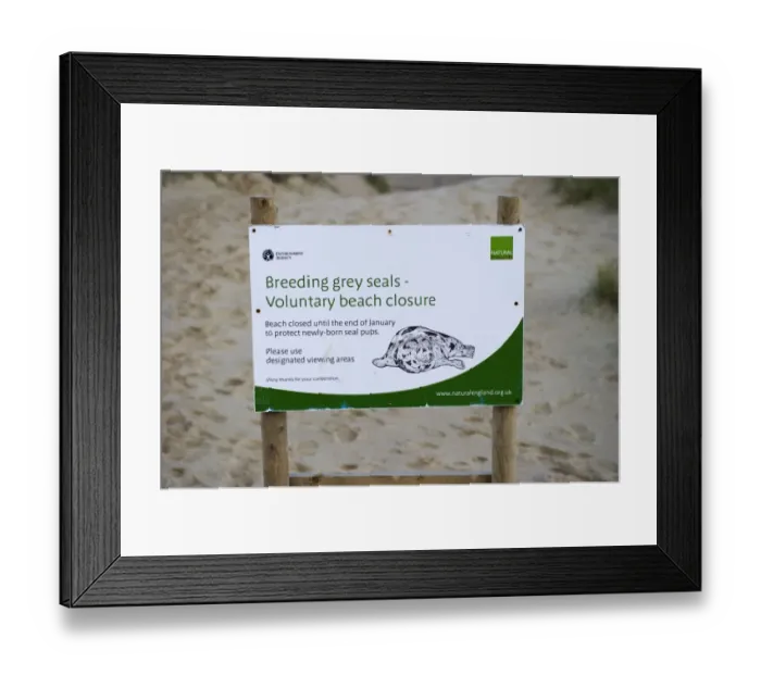Framed Print : Beach closure sign at Grey Seal breeding colony Winterton Norfolk December Framed Print : Beach closure sign at Grey Seal breeding colony Winterton Norfolk December