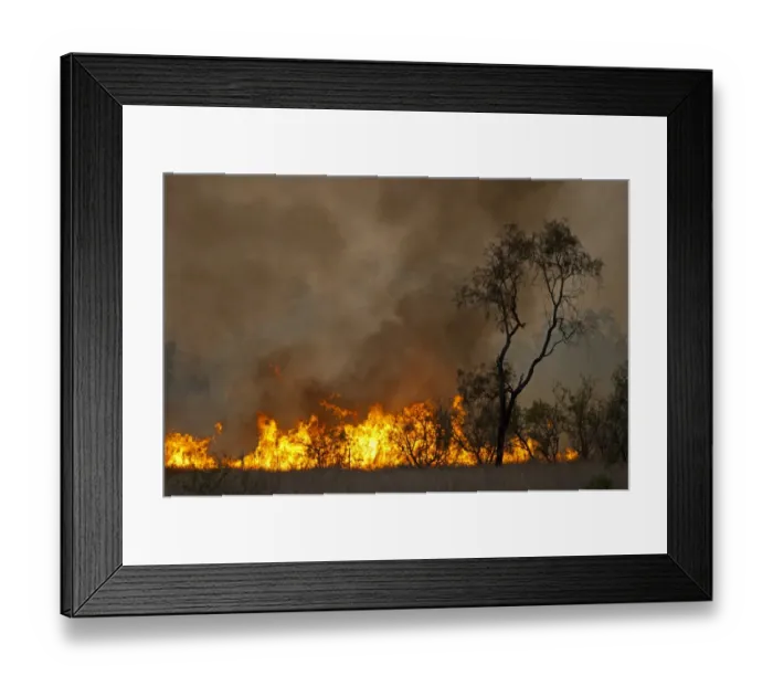 Framed Print : Bush fire near Charter Towers Queensland Australia October Framed Print : Bush fire near Charter Towers Queensland Australia October