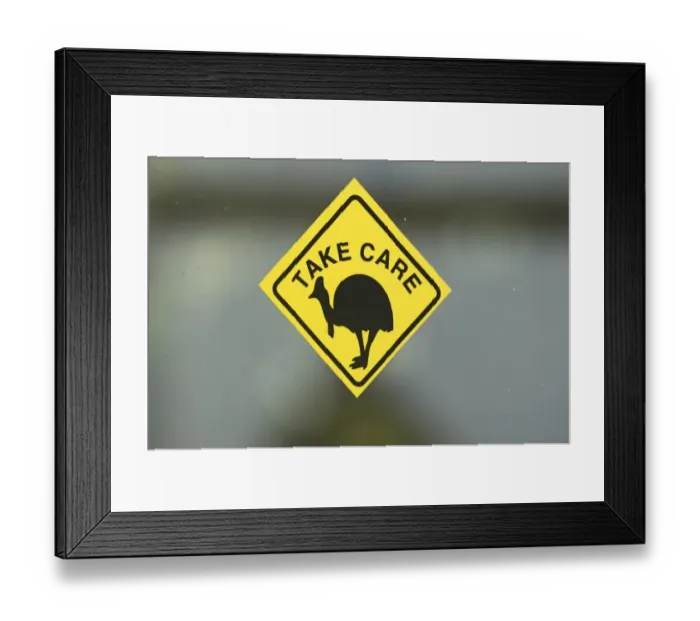 Framed Print : Sticker warning of Southern Cassowarys Casuarius casaurius Cairns Queensland Framed Print : Sticker warning of Southern Cassowarys Casuarius casaurius Cairns Queensland