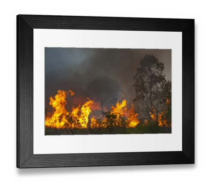 Framed Print : Bush fire near Charter Towers in Queensland Northern Australia October Framed Print : Bush fire near Charter Towers in Queensland Northern Australia October