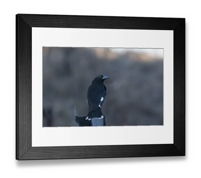 Framed Print : 007067 Framed Print : 007067