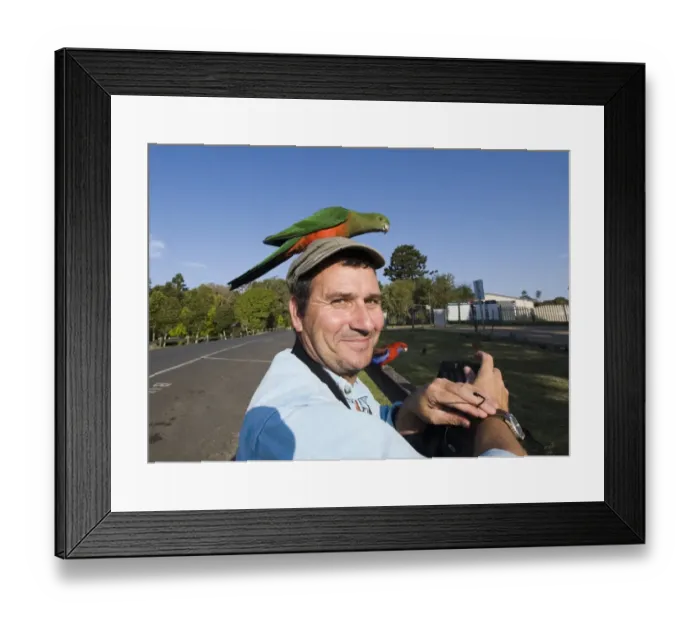 Framed Print : Mark Cocker with King Parrot perched on his head at O Reillys Queensland Australia Framed Print : Mark Cocker with King Parrot perched on his head at O Reillys Queensland Australia