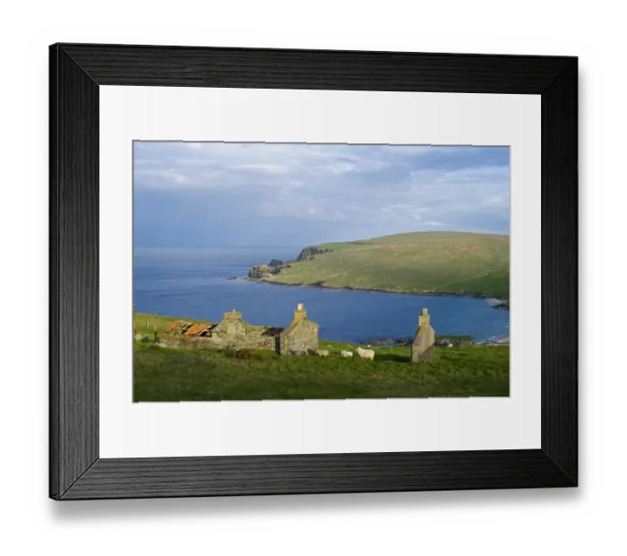 Framed Print : View across towards Norwick and abandoned Crofts from the Garths Unst Shetland June Framed Print : View across towards Norwick and abandoned Crofts from the Garths Unst Shetland June