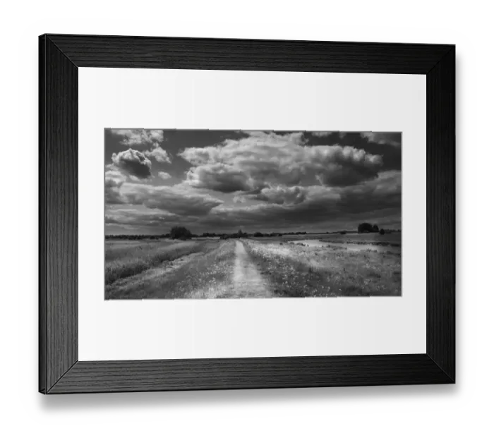 Framed Print : Path along edge of Lakenheath RSPB Reserve Suffolk in summer Framed Print : Path along edge of Lakenheath RSPB Reserve Suffolk in summer