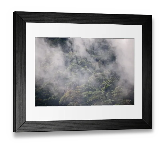 Framed Print : Cloud Forest at Savegre Costa Rica Framed Print : Cloud Forest at Savegre Costa Rica