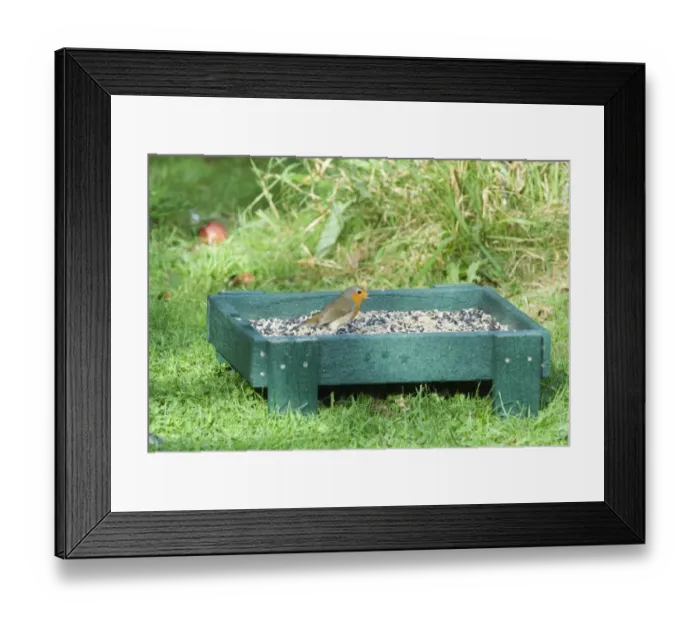 Framed Print : 002983 Framed Print : 002983