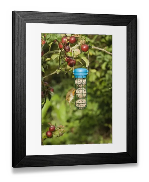 Framed Print : 003027 Framed Print : 003027