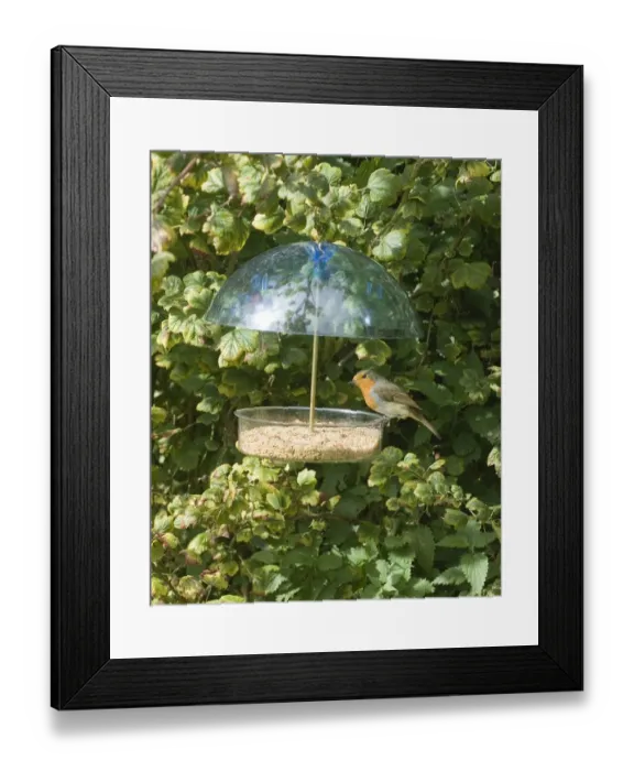 Framed Print : 003032 Framed Print : 003032