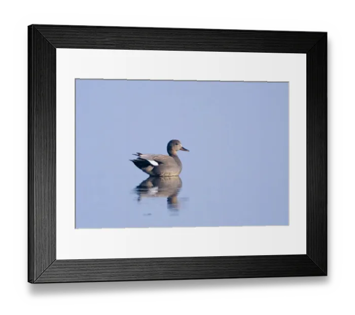 Framed Print : 003134 Framed Print : 003134