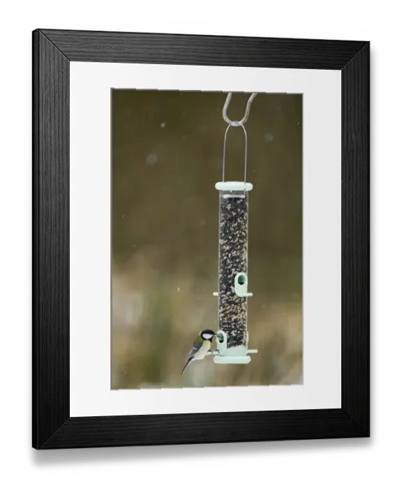 Framed Print : 005028 Framed Print : 005028