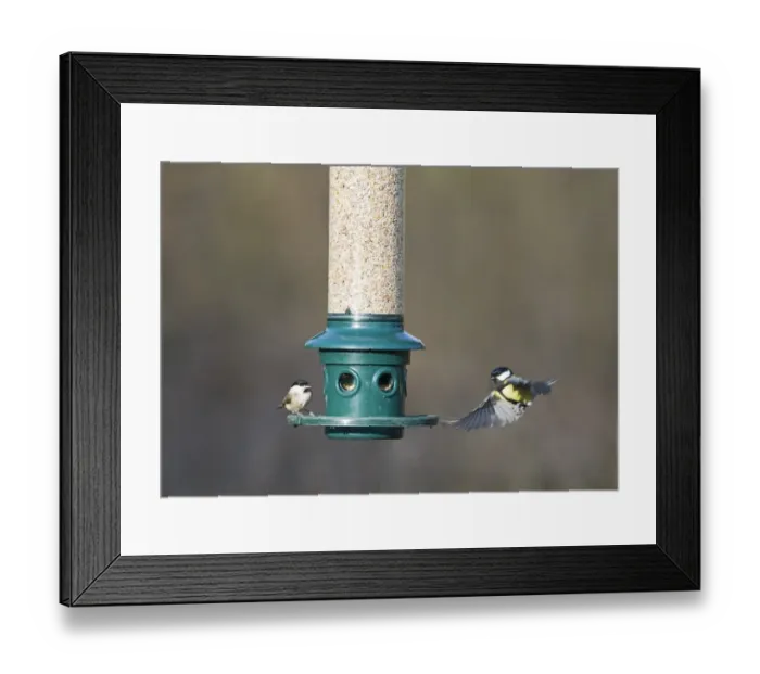 Framed Print : 006272 Framed Print : 006272