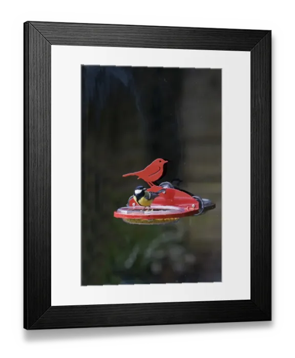 Framed Print : 006346 Framed Print : 006346