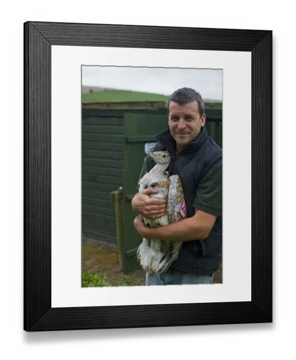 Framed Print : Al Dawes of the Great Bustard Group with a Great Bustard Otis tarda in preparation Framed Print : Al Dawes of the Great Bustard Group with a Great Bustard Otis tarda in preparation