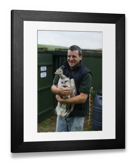 Framed Print : Al Dawes of the Great Bustard Group with a Great Bustard Otis tarda in preparation Framed Print : Al Dawes of the Great Bustard Group with a Great Bustard Otis tarda in preparation