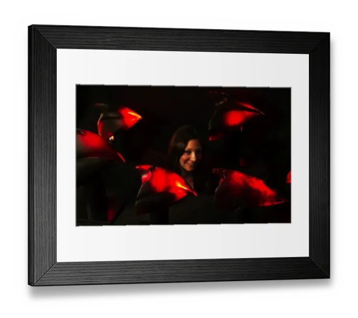 Framed Print : Tolly Nason with her glass Galapagos finch beaks Framed Print : Tolly Nason with her glass Galapagos finch beaks