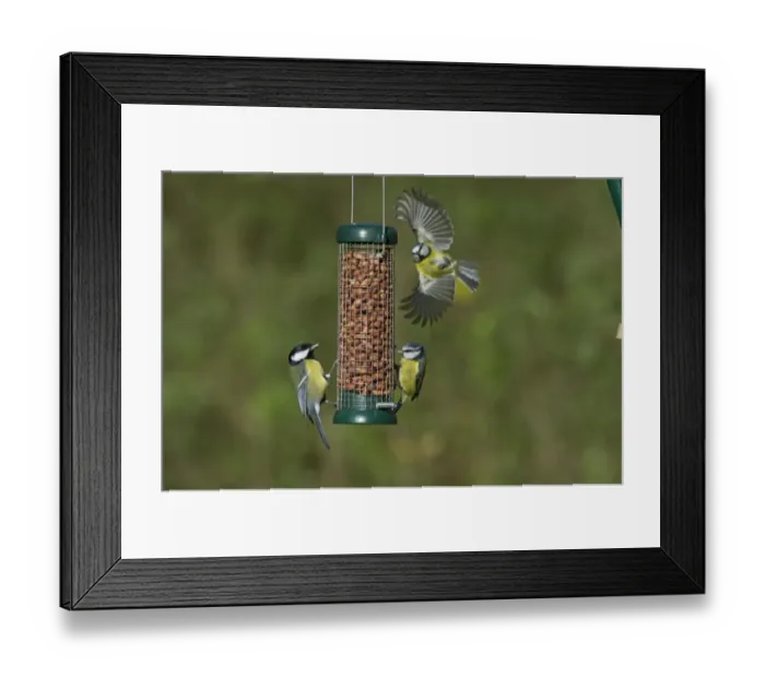 Framed Print : 006784 Framed Print : 006784