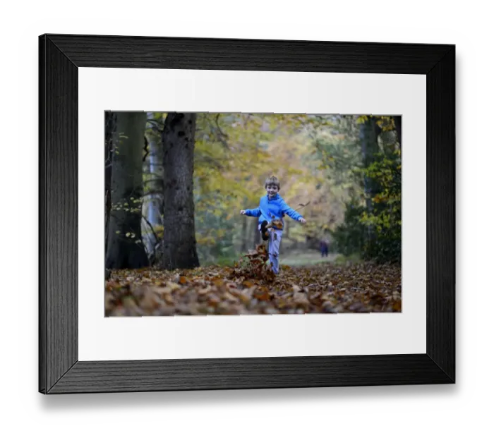 Framed Print : Young boy kicking leaves in woodland autumn Norfolk Framed Print : Young boy kicking leaves in woodland autumn Norfolk
