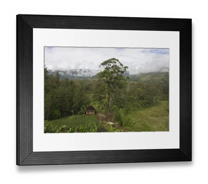 Framed Print : House & agriculture in valley in Western Highlands Papua New Guinea Framed Print : House & agriculture in valley in Western Highlands Papua New Guinea