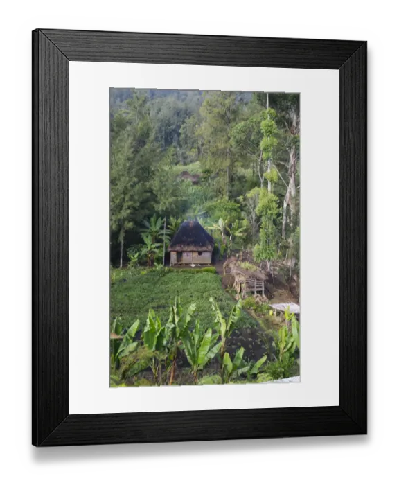Framed Print : House & agriculture in valley in Western Highlands Papua New Guinea Framed Print : House & agriculture in valley in Western Highlands Papua New Guinea