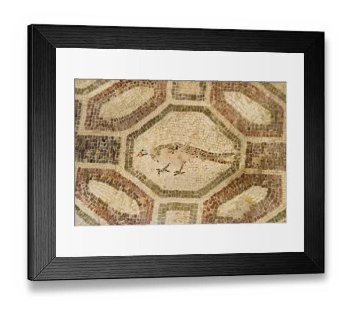 Framed Print : Pheasant? mosaic Paphos in Cyprus, one of the strongholds of the Ptolemaic kings Framed Print : Pheasant? mosaic Paphos in Cyprus, one of the strongholds of the Ptolemaic kings