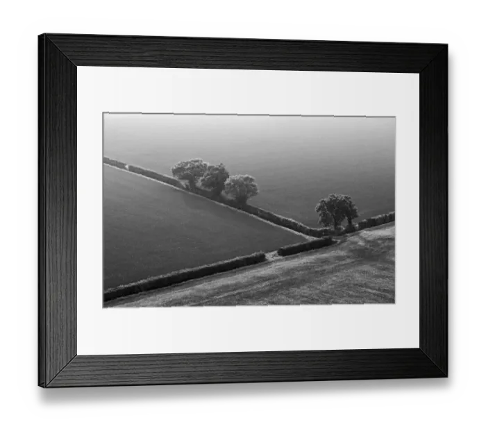 Framed Print : 005731 Framed Print : 005731