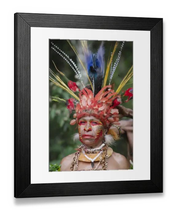 Framed Print : Jika tribal dancer having her head dress prepared Paiya Sing-sing Western Highlands Framed Print : Jika tribal dancer having her head dress prepared Paiya Sing-sing Western Highlands