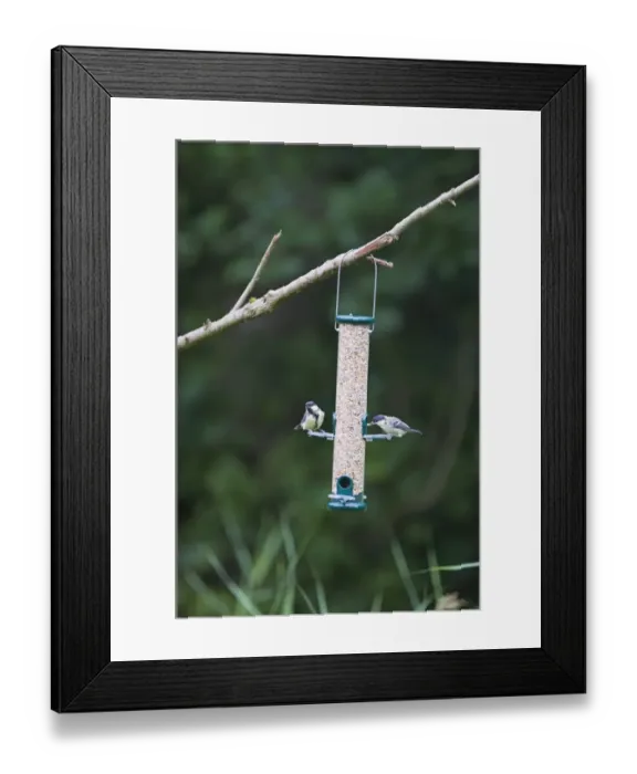 Framed Print : 004392 Framed Print : 004392