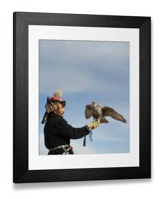 Framed Print : Kazhak Falconer with Saker Falcon at eagle hunters festival in western Mongolia Framed Print : Kazhak Falconer with Saker Falcon at eagle hunters festival in western Mongolia
