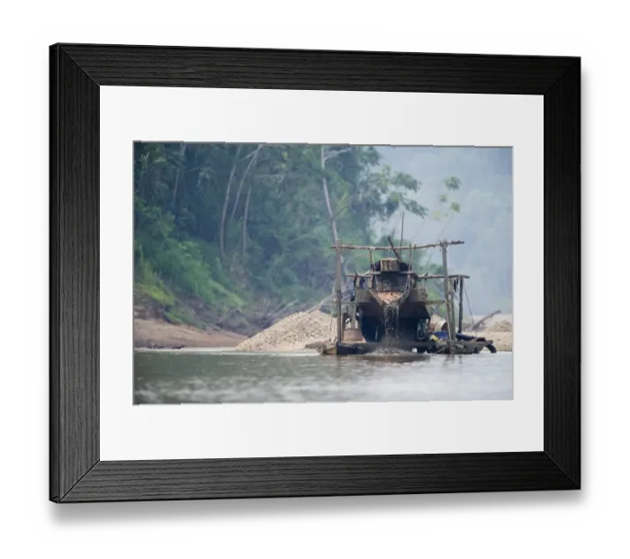 Framed Print : Panning for Gold on the Madre de Dios River in the Peruvian Amazon, the river boasts Framed Print : Panning for Gold on the Madre de Dios River in the Peruvian Amazon, the river boasts