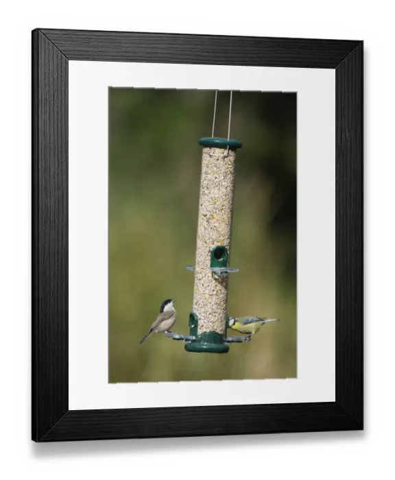 Framed Print : 005712 Framed Print : 005712