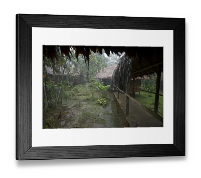 Framed Print : Heavy rain at Exploramo Lodge Iquitos Region Amazon River Peru Framed Print : Heavy rain at Exploramo Lodge Iquitos Region Amazon River Peru