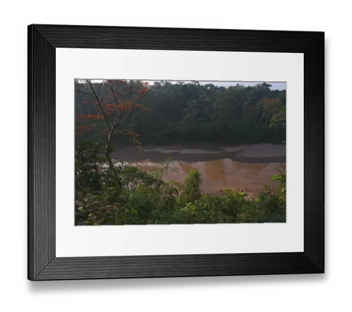 Framed Print : Backwater of the Tambopata River, Tambopata Peru Amazon Basin Framed Print : Backwater of the Tambopata River, Tambopata Peru Amazon Basin