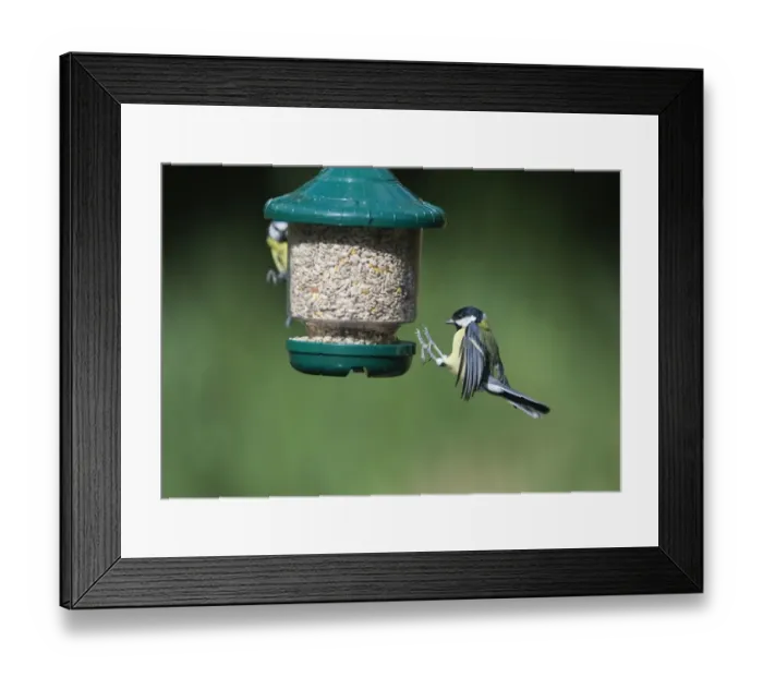 Framed Print : 005707 Framed Print : 005707