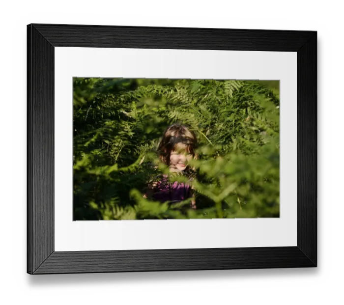 Framed Print : Young girl peeping from among bracken on heath in summer Norfolk