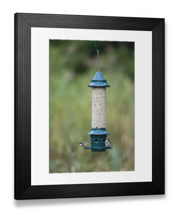 Framed Print : 005711 Framed Print : 005711